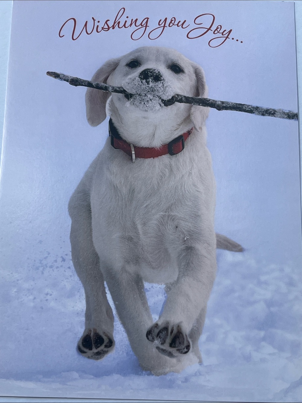 Classic Red Dog Christmas Card